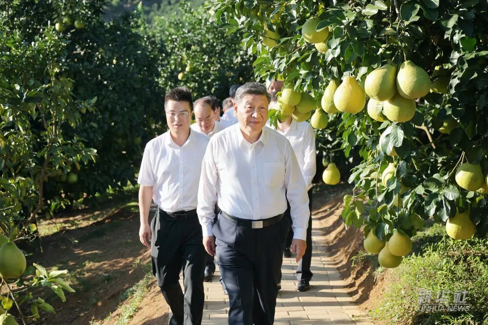 首页| 217永信贵宾会官网入口